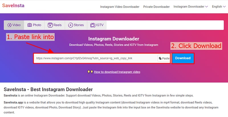Paste the link into InSaver